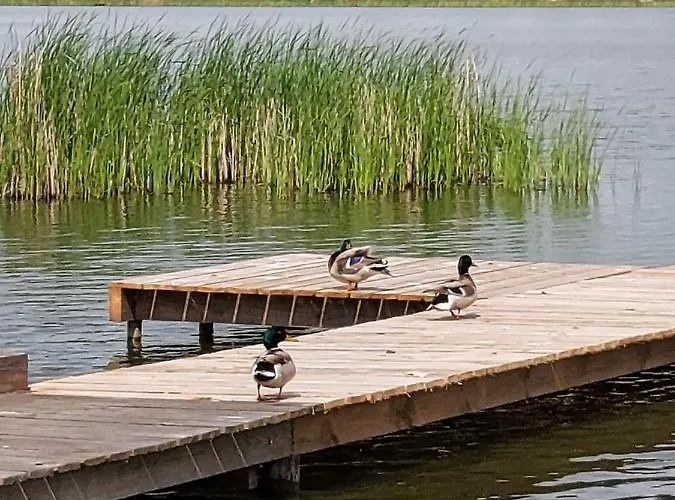 Lawendowy Zakatek Vakantiehuis Boszkowo